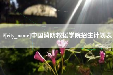 襄阳中国消防救援学院招生计划表