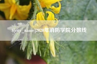 襄阳2020年消防学院分数线