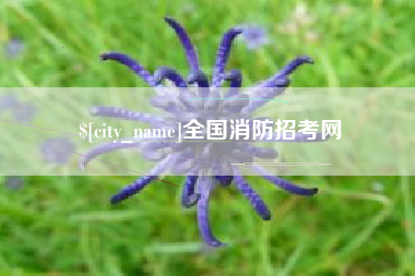 襄阳全国消防招考网