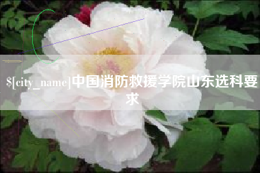襄阳中国消防救援学院山东选科要求