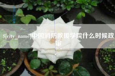 襄阳中国消防救援学院什么时候政审
