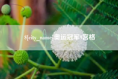 襄阳奥运冠军9宫格