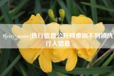 襄阳执行信息公开网查询不到被执行人信息
