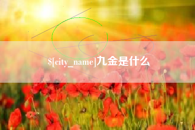 襄阳九金是什么