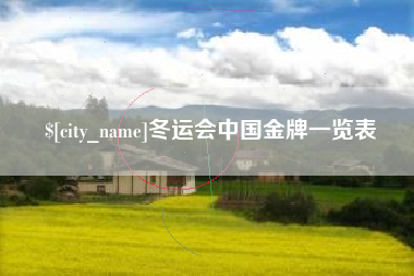 襄阳冬运会中国金牌一览表