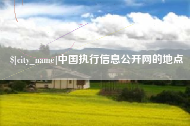 襄阳中国执行信息公开网的地点