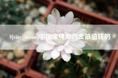 襄阳中国金牌哪六金最值钱的