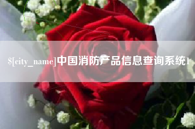 襄阳中国消防产品信息查询系统1