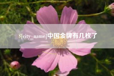 襄阳中国金牌有几枚了