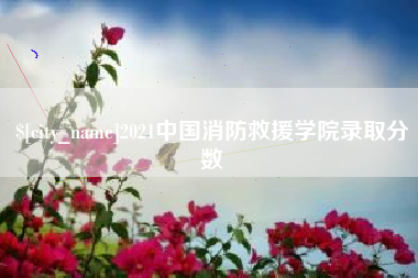 襄阳2021中国消防救援学院录取分数