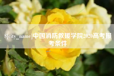 襄阳中国消防救援学院2020高考报考条件