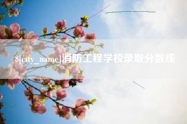 襄阳消防工程学校录取分数线