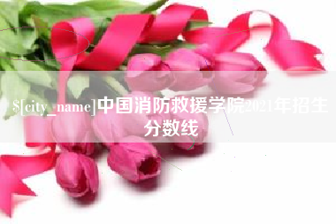 襄阳中国消防救援学院2021年招生分数线