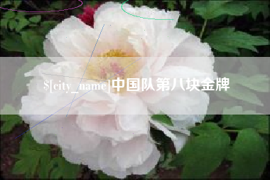 襄阳中国队第八块金牌