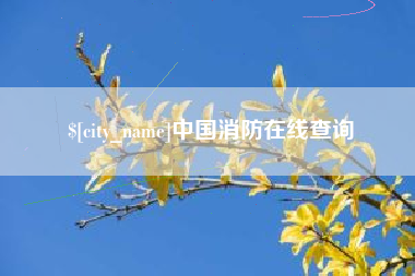 襄阳中国消防在线查询