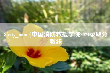 襄阳中国消防救援学院2021录取分数线