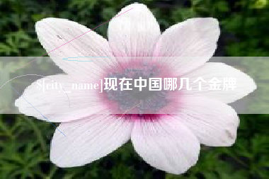 襄阳现在中国哪几个金牌