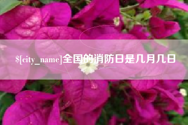 襄阳全国的消防日是几月几日