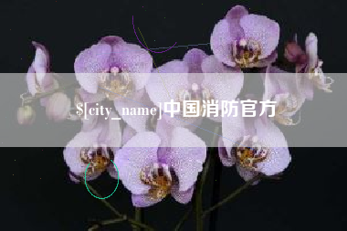 襄阳中国消防官方