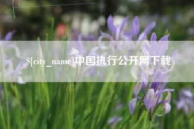 襄阳中国执行公开网下载