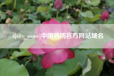 襄阳中国消防官方网站域名