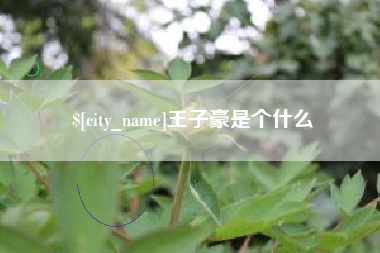 襄阳王子豪是个什么