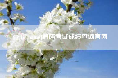 襄阳消防考试成绩查询官网