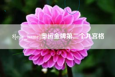 襄阳奥运金牌第二个九宫格