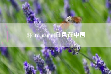 襄阳白色在中国