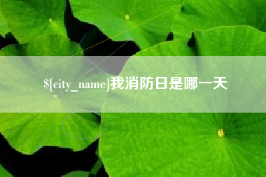 襄阳我消防日是哪一天