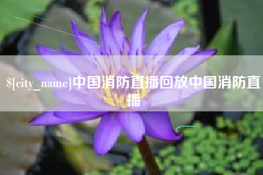 襄阳中国消防直播回放中国消防直播