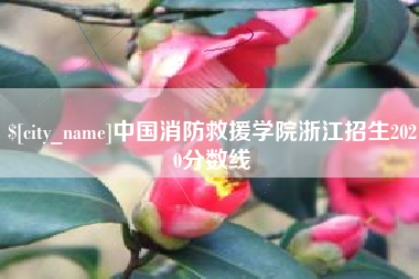 襄阳中国消防救援学院浙江招生2020分数线