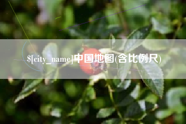 襄阳中国地图(含比例尺)