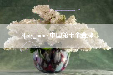 襄阳中国第十个金牌