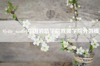 襄阳中国消防学院救援学院分数线