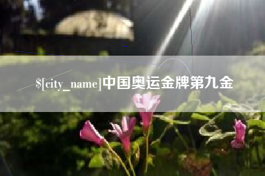 襄阳中国奥运金牌第九金