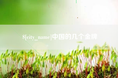 襄阳中国的几个金牌
