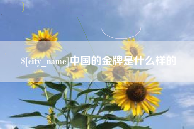 襄阳中国的金牌是什么样的