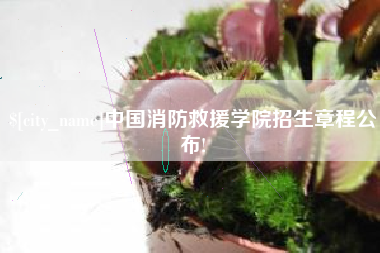 襄阳中国消防救援学院招生章程公布!