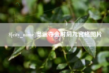 襄阳奥运夺金时刻九宫格图片