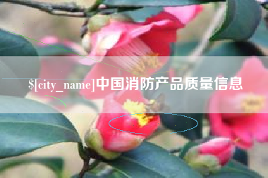 襄阳中国消防产品质量信息