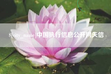 襄阳中国执行信息公开网失信