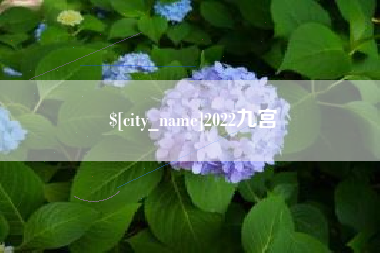 襄阳2022九宫