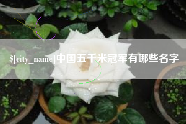 襄阳中国五千米冠军有哪些名字