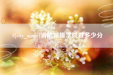 襄阳消防救援学院要多少分