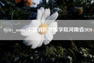 襄阳中国消防救援学院河南省2020